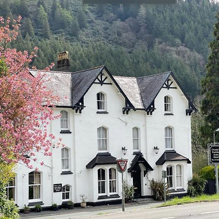 The Buckley Arms Hotel Dinas Mawddwy Екстериор снимка
