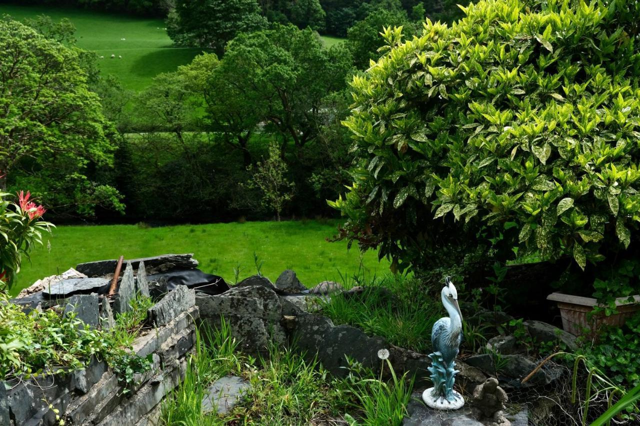 The Buckley Arms Hotel Dinas Mawddwy Екстериор снимка