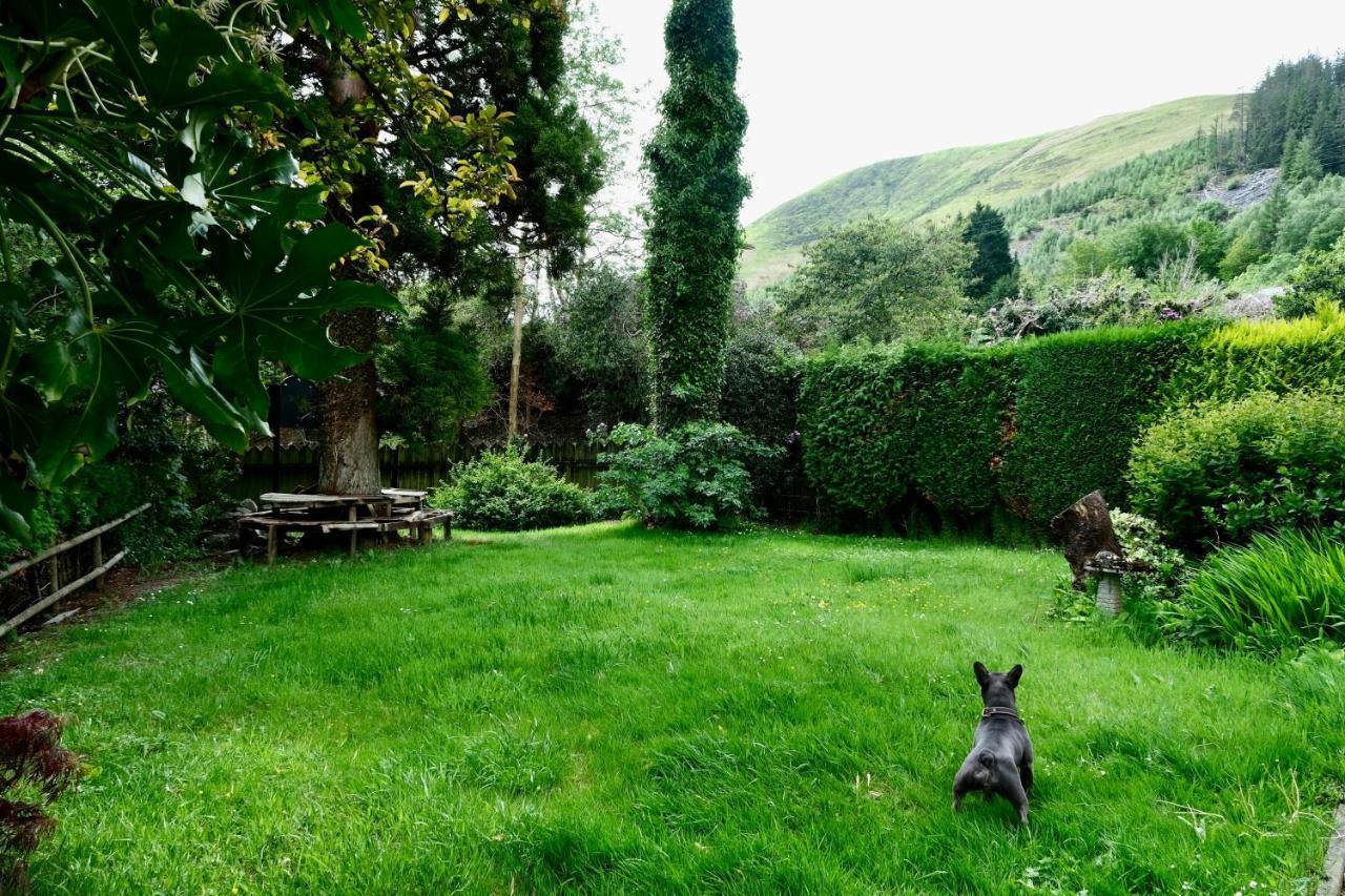 The Buckley Arms Hotel Dinas Mawddwy Екстериор снимка